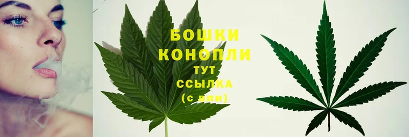 Шишки марихуана OG Kush  Торопец 